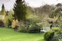 White bench amongst borders of shrubs and trees on the edge of the lawn at John Massey's garden in October.