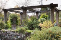 'The ruin' at John Massey's garden in October framing a mix of deciduous and evergreen trees and shrubs including conifers.