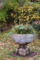 Winter container display includnig trailing ivies,  hellebores and arabesques of willow stems at John Massey's garden in October.
