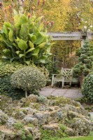 Terrace framed by clipped hollies and a rock alpine landscape at John Massey's garden in October.