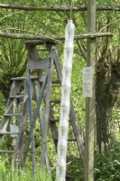 Plastic recycled bottles as drainage. Vintage wooden ladders as decoration and support in the garden under willow trees.