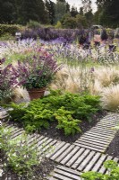 Duckboards forming paths through beds of herbs and ornamentals at Whitburgh House Walled Garden in September