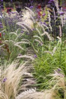 Wooden duckboard laid through a border amongst luscious planting including Pennisetum orientale 'Tall Tails, Stipa tenuissima and Verbena bonariensis in September.