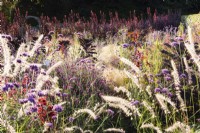 Border of ornamental grasses and herbaceous perennials in September including Verbena bonariensis, Pennisetum orientale 'Tall Tails', salvias and ricinus.