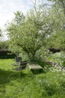 Vintage garden chairs in meadow under blossom tree and with cow parsley.