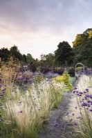 Path through Stipa tenuissima and Verbena bonariensis at Whitburgh Walled Garden in Scotland in September