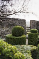 Clipped box in the Knot Garden at Cotswold Farm in February.