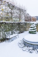 Snow covered wrought iron regency style garden seat beside hawthorn hedge - Crataegus monogyna with pleached field maples - Acer campestre - above. Topiary spiral box - Buxus sempervirens - and a raised circular frozen garden pond. December