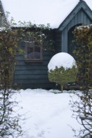 Dark green painted timber garden building in winter with box topiary tree beside entrance. December.