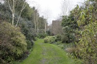 The Winter Garden at Winterbourne Botanical Gardens - April