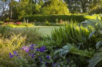 View of summer garden in early morning sunlight. Including Geranium x magnificum 'Blue Blood', cardoon foliage Cynara cardunculus and lupins. 