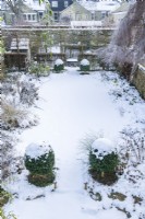 View looking down onto formal town garden after snow. Snow covered lawn surrounded by herbaceous borders with box topiary, Internal hedges with pleached trees to divide a long narrow garden into compartments. December.