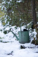 Antique watering can covered with snow beside border next to brick garden wall. December
