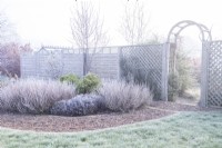 Shrubs covered in frost in bed along stone path