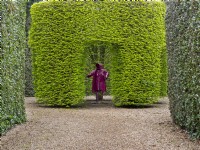 East Ruston Old Vicarage Gardens, Norfolk,  Spring. The Red Lady and Hornbeam hedging