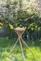 Glass pebble bee feeder on birch stick stand