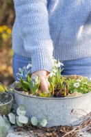 Woman placing moss inbetween the plants in metal container
