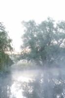 Morning mist on the river Nar.