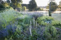 Narborough Hall. Early morning in the blue garden. Alchemilla Mollis, Fennel, Nepeta, Lavender and Verbascum. Summer. Mist on the river.