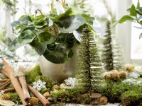 Christmas decoration with Cyclamen persicum, winter December