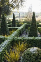 The East Garden at The Bishop's Palace Garden in Wells on a January morning, with evergreen hedges of Euonymus japonicus 'Green Spire', clipped yew and Libertia peregrinans.