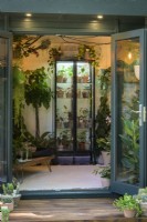 Houseplant Studio with Succulents and Cactii  in  The Aroid Attic
Studio: Social Media versus Reality - Sponsor: Malvern Garden Buildings