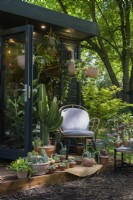 Houseplant Studio with Succulents and Cacti -The Aroid AtticStudio: Social Media versus Reality 