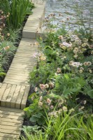 Herbaceous bed along brick edging  planted with perennials including  Astrantia, ferns and Geum 'Petticoats Peach' next to a pond with fountains - The Stitcher's Garden, RHS Chelsea Flower Show 2022