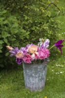 Cut Pink and purple Tulips in metal bucket on grass