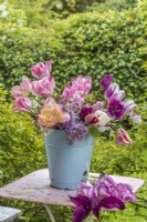 Mixed tulips displayed in blue enamel bucket with blossom and lilac on pink table