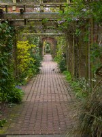 Brick path and archways Old Vicarage Garden, East Ruston, Norfolk