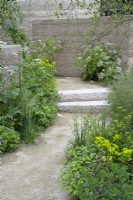 Curved path with purbeck stone steps along clay rendered wall includes Cenolophium denudatum Euphorbia wallichii and Zizia aurea in The Mind Garden