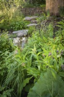 Natural wetland meadow with native plants awith Filipendula ulmaria in A Rewilding Britain Landscape Garden
