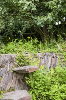Overgrown dry stonewall and step - A rewilding Britain Landscape. Gold Medal and Best in Show