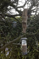 Hanging ceramic bird feeder holder by Tati Dennehy in a tree. February. 