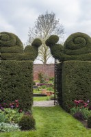 Black metal gate with Snail topiary in formal Yew hedge - Taxus baccata - leading into walled garden