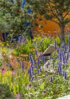 Colourful perennial garden, summer June