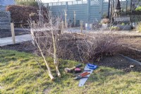Birch trees, birch twigs, hammer, saw, tape measure, pencil and secateurs laid out on the ground