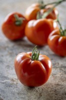 Tomato 'Country Taste' F1 - Beefsteak tomato - Solanum lycopersicum