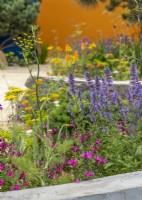 Colourful perennial garden, summer June