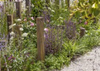 Wooden posts in a colourful perennial bed, summer June