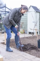 Woman digging a hole for the apple tree to be planted in