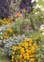 Flowerborder with annuals, summer July