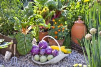 Trug with freshly harvested kohlrabies and courgettes.