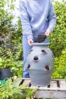 Woman filling the strawberry planter part way with compost