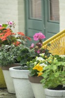 Pots with Pelargoniums on wall of stone and yellow chair in city front garden.