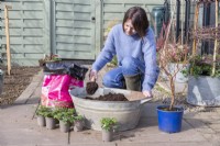Woman filling metal basin with ericaceous compost