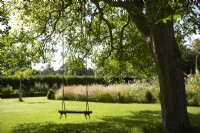 Swing hanging from a mature tree in lawn section of garden. Informal borders in background. Summer.