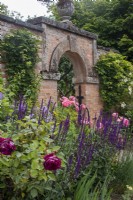 Rosa 'Boscobel' and Rosa 'Falstaff' with Salvia nemorosa 'Caradonna' against the brick arch in the Kitchen Garden at Morton Hall Gardens
