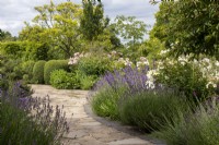 View across borders in The West Garden at Morton Hall with roses and lavender and a paved path.